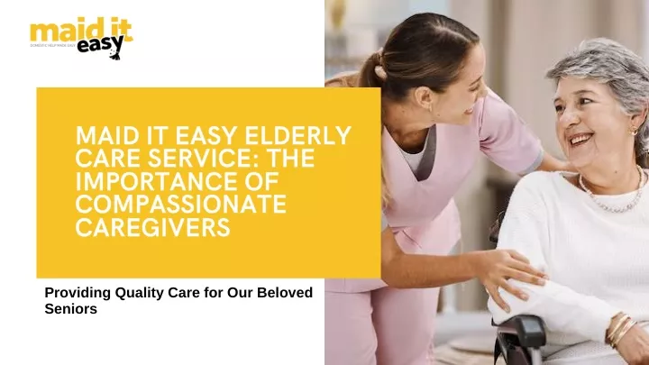 maid it easy elderly care service the importance