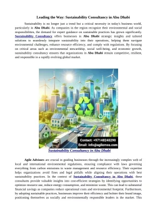 Leading the Way: Sustainability Consultancy in Abu Dhabi