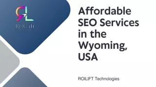 Affordable SEO Services in the Wyoming, USA