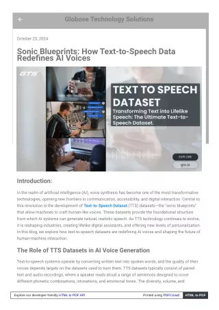 Sonic Blueprints: How Text-to-Speech Data Redefines AI Voices