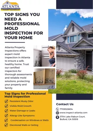 Top Signs You Need a Professional Mold Inspection for Your Home