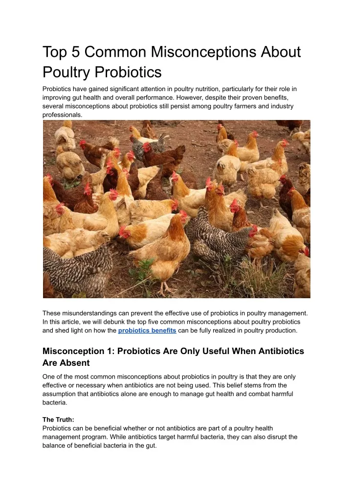 top 5 common misconceptions about poultry