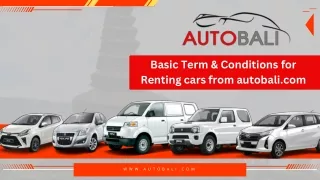 basic term conditions for renting cars from