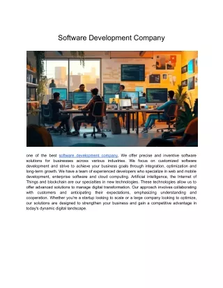 Software Development Company (17)