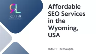Affordable SEO Services in the Wyoming, USA