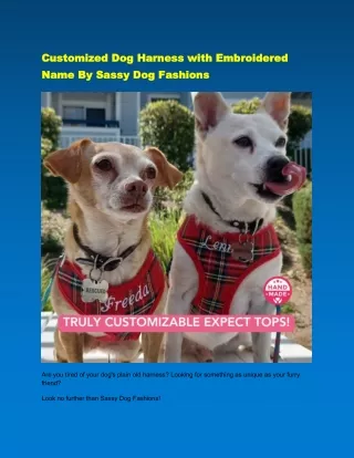 Customized Dog Harness with Embroidered Name By Sassy Dog Fashions