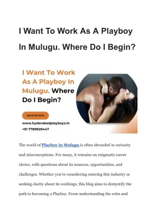 _I Want To Work As A Playboy In Mulugu. Where Do I Begin_