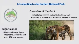 Discover the Beauty of Jim Corbett National Park With The Corbett Rajae
