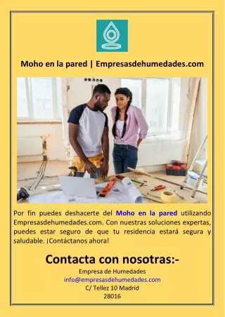 Moho en la pared  Empresasdehumedades.com