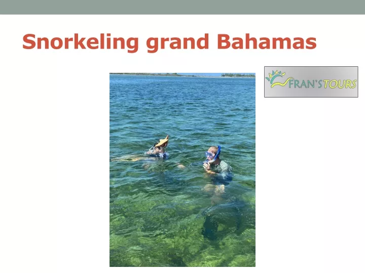 snorkeling grand bahamas