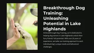 Dog Training in lake Highlands