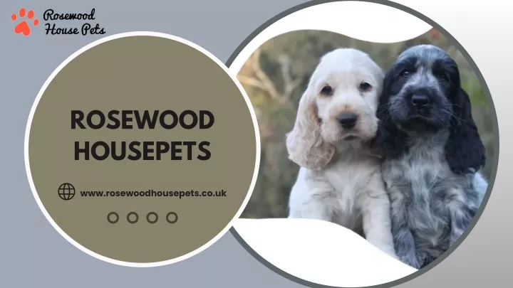 rosewood housepets