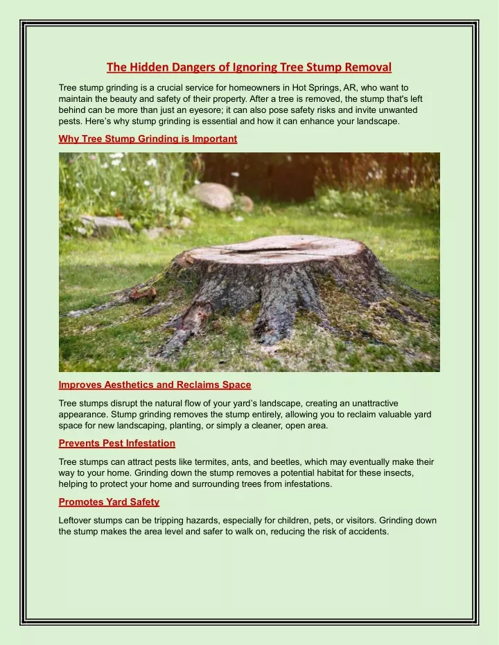 the hidden dangers of ignoring tree stump removal