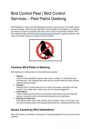 Bird Control Pest _ Bird Control Services – Pest Patrol Geelong