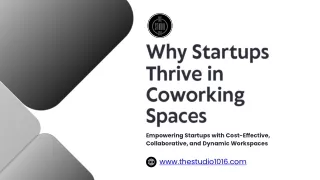 Why Startups Thrive in Coworking Spaces