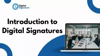 Introduction to Digital Signatures