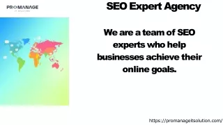 Your Trusted SEO Expert Agency for Unmatched Digital Growth
