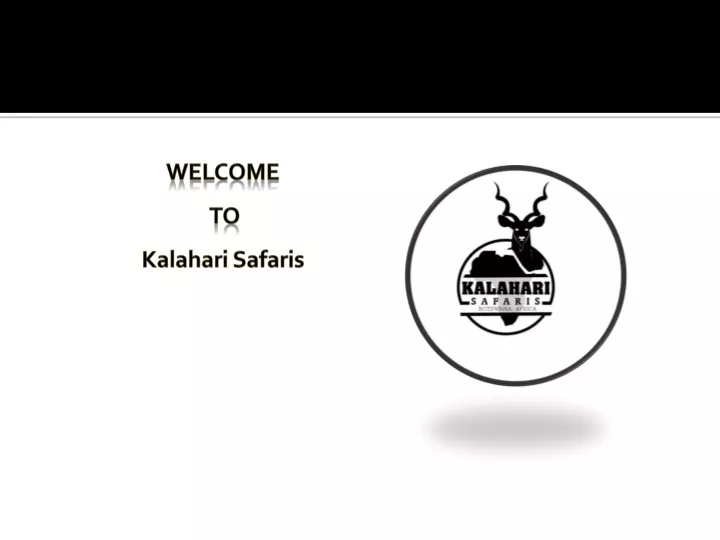 welcome to kalahari safaris