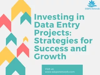 Investing in Data Entry Projects Strategies for Success and Growth