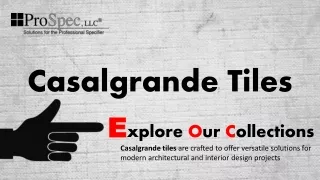 Casalgrande tiles - Explore Our Collections