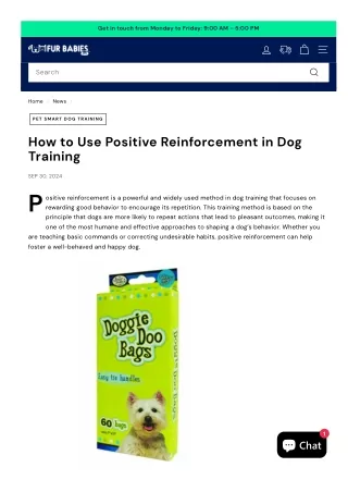 Pet Smart Dog Training