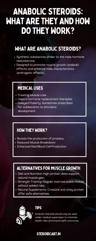Anabolic Steroids, What Are They and How Do They Work