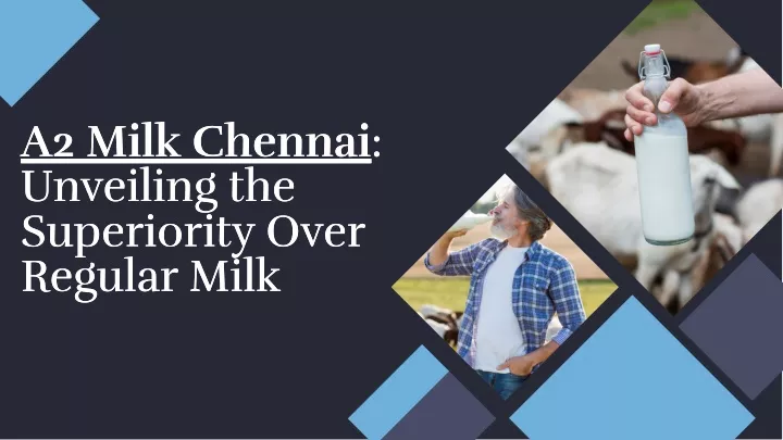 a2 milk chennai unveiling the superiority over