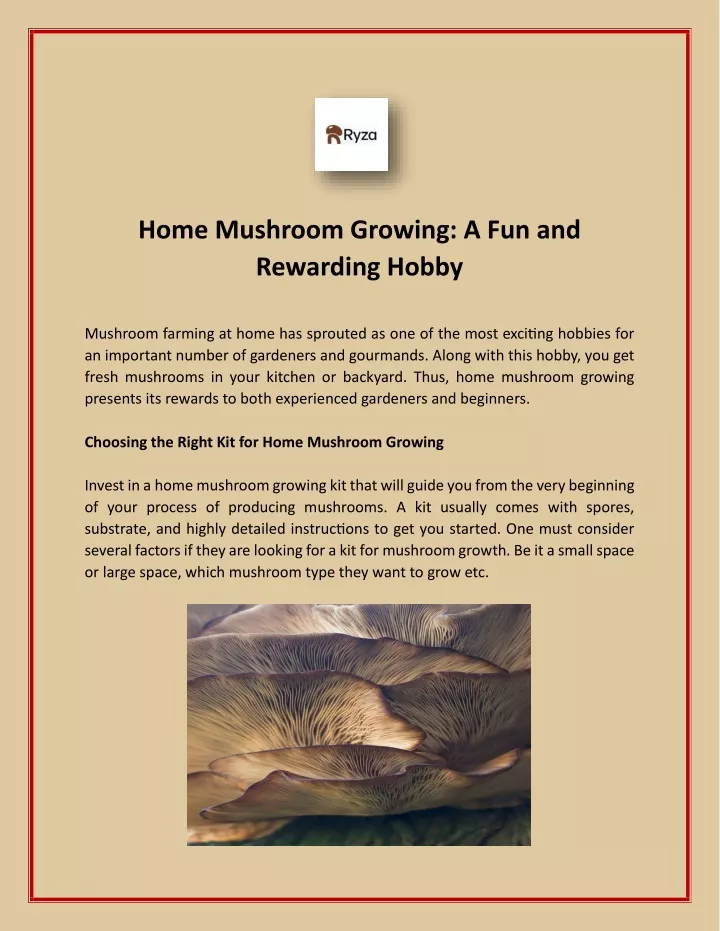 home mushroom growing a fun and rewarding hobby