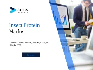 insect protein market
