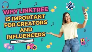 Why Linktree is Important for Creators, Influencers, and Small Businesses?