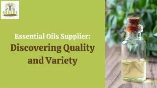 Essential Oils Supplier  Discovering Quality and Variety