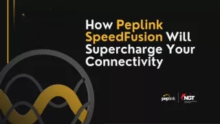 Peplink platinum partner -Peplink disti uae (1)
