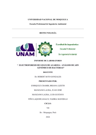 INFORME_Electroforesis_Geles_de_agarosa