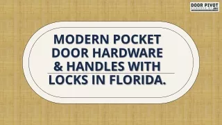 Modern pocket door hardware & handles with lock in Florida.