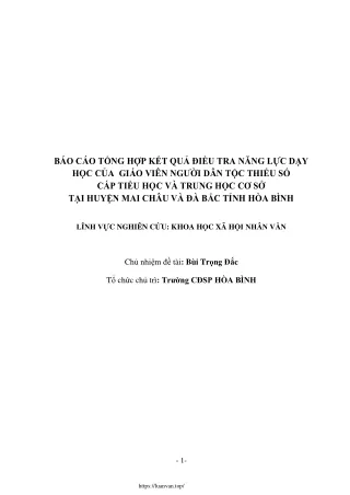 Báo cáo tổng hợp kết quả điều tra năng lực dạy học của GV người dân tộc thiểu số