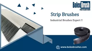 Strip Brushes