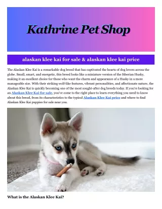 kathrine pet shop kathrine pet shop kathrine