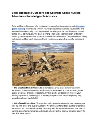 Birds and Bucks Outdoors Top Colorado Goose Hunting Adventures Knowledgeable Advisors