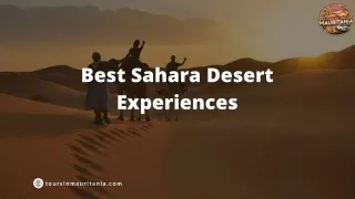 Best Sahara Desert Experiences