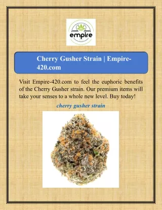 Cherry Gusher Strain | Empire-420.com