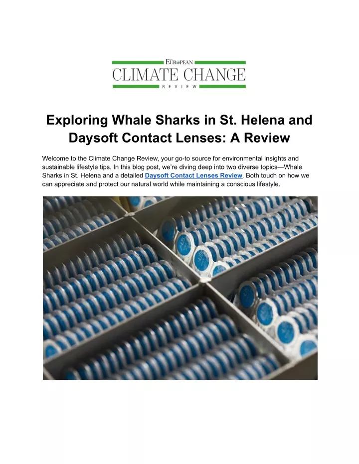 exploring whale sharks in st helena and daysoft