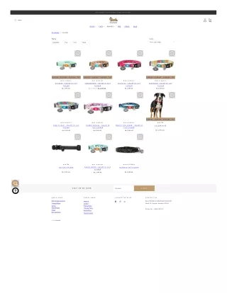 Cat Collars Online