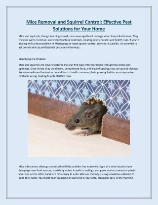 Mice Removal and Squirrel Control Effective Pest Solutions for Your Home