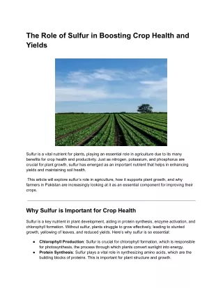 the role of sulfur in boosting crop health