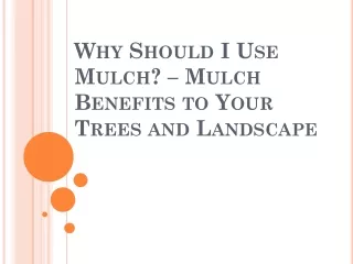 Why Should I Use Mulch? – Mulch Benefits to Your Trees and Landscape