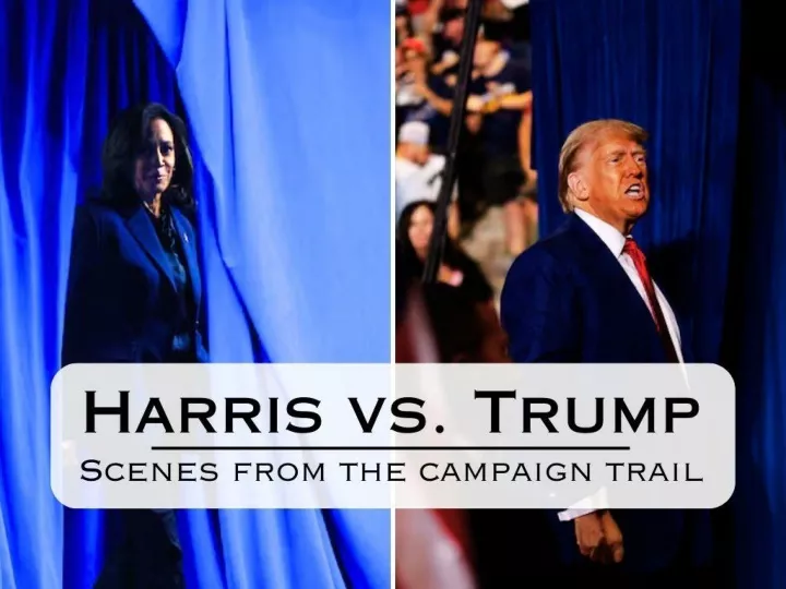 Harris vs. Trump: Scenes from the campaign trail