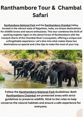Ranthambore Tour & Chambal Safari