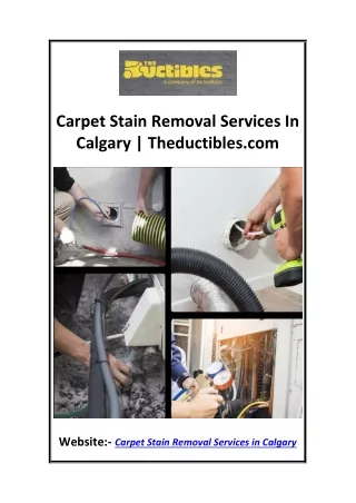 Carpet Stain Removal Services In Calgary  Theductibles.com