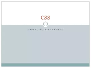 CSS 4