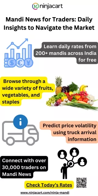 Mandi News for Traders Daily Insights to Navigate the Market